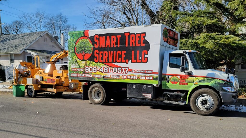 tree service in New Jersey