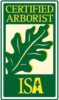 Smart tree service is certified by arborist