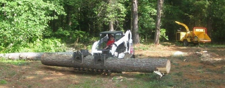 Tree removal