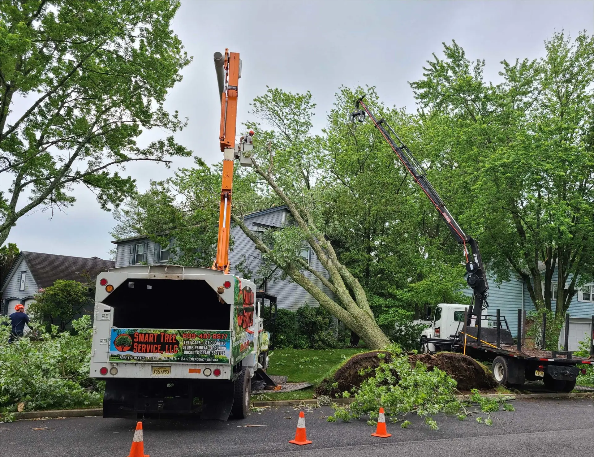 Emergency Tree Service South Jersey