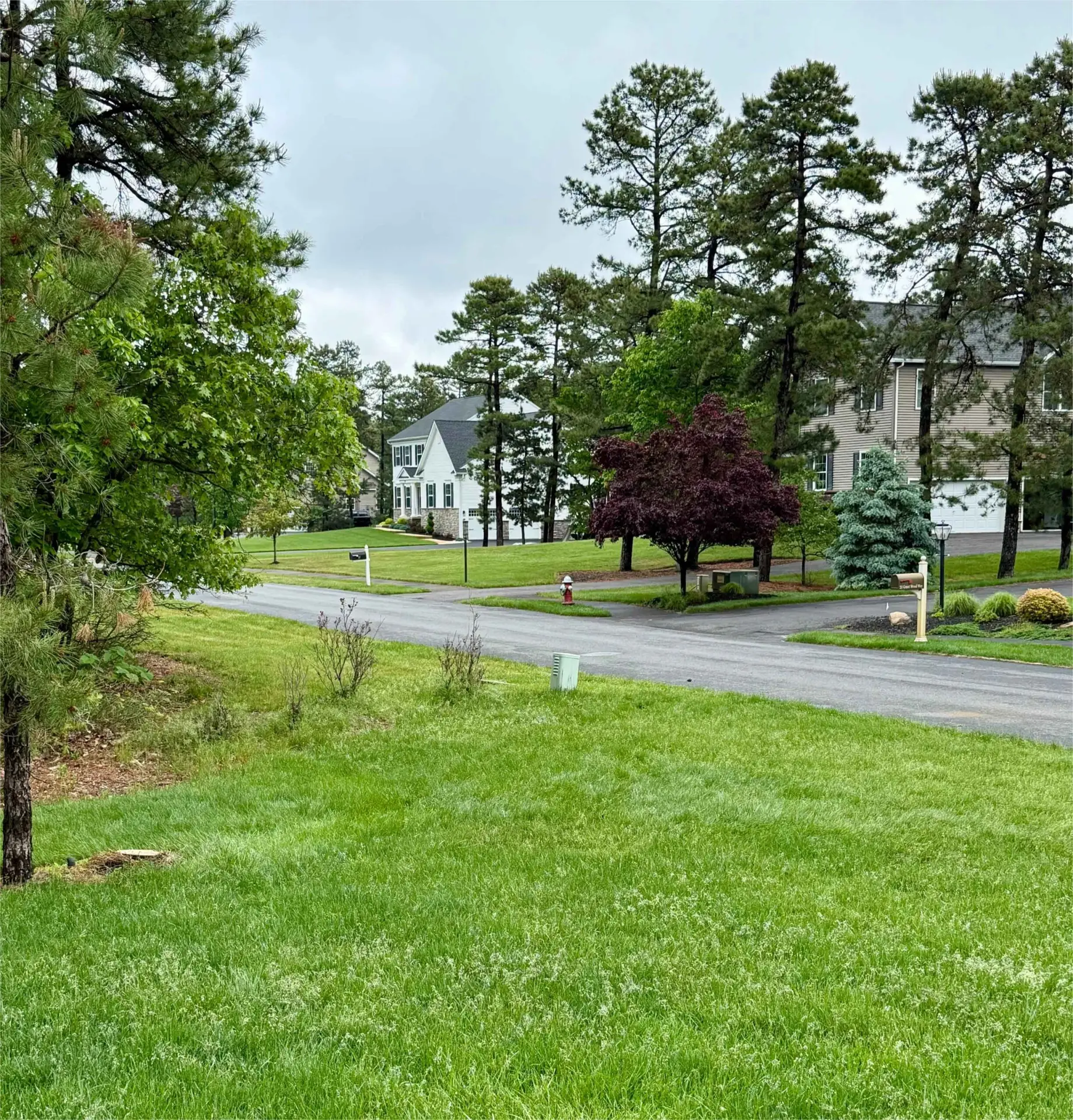 Smart-tree-service-LLC-Nj