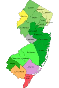 Cherry Hill’s #1 Expert Tree Service – Removal & Maintenance