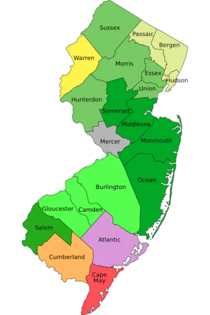 Cherry Hill’s #1 Expert Tree Service – Removal & Maintenance
