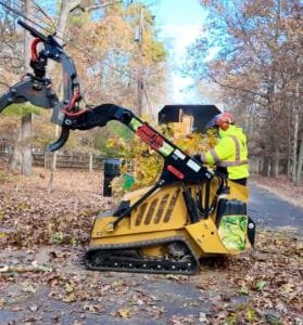 Smart tree service is the best tree service in south jersey