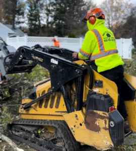 fully insured tree cutting service south jersey