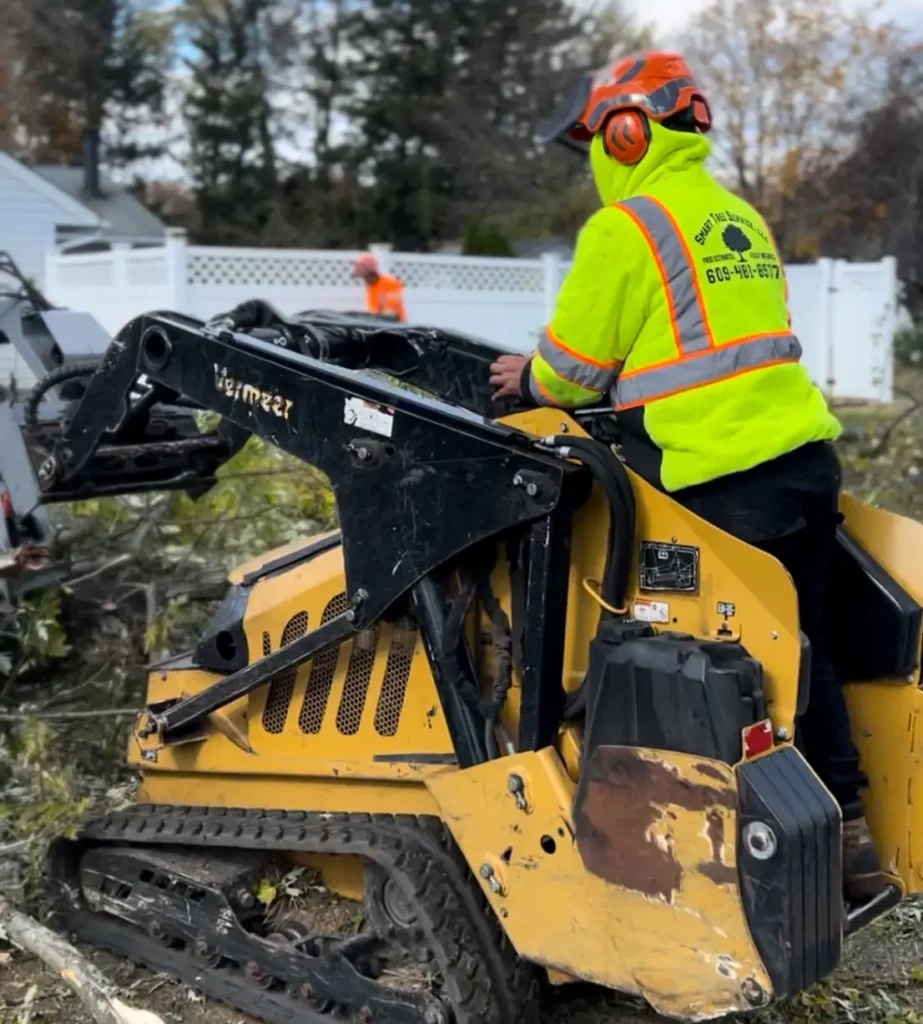 fully insured tree cutting service south jersey