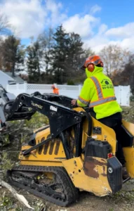 Why Hiring a Fully Insured Tree Company in South Jersey Matters