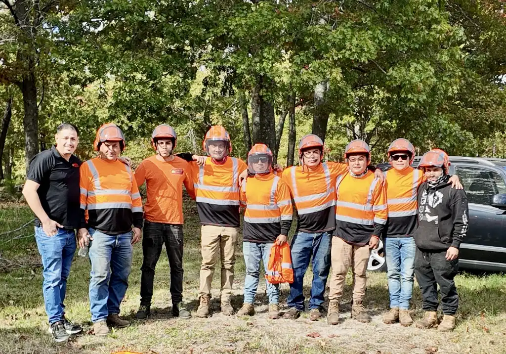 Smart tree service team