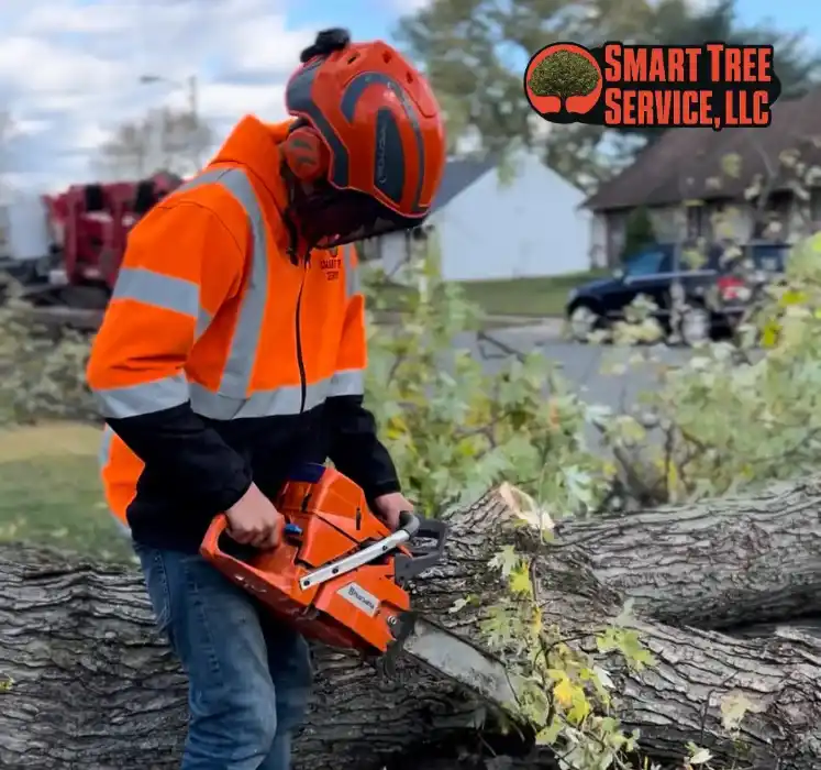 Burlington County, New Jersey