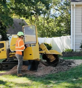Stump Grinding & Removal