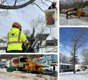 Winter tree service in nj